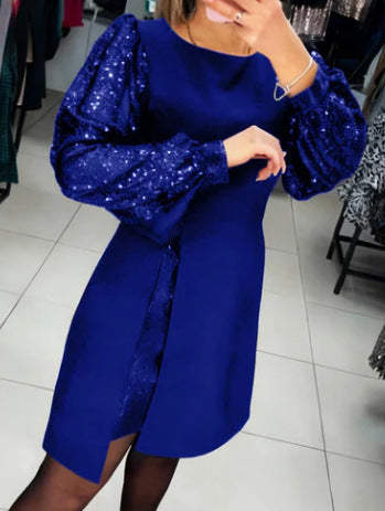 Elegant Sequin Embroidered Dress